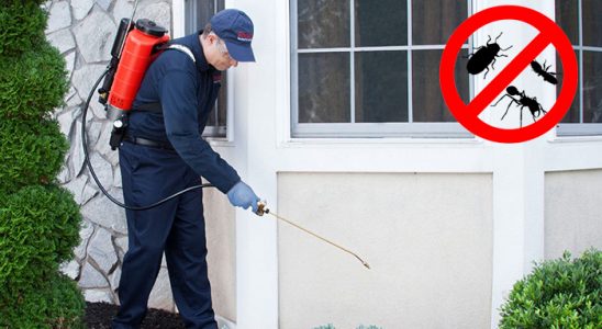 Gündoğmuş Haşere İlaçlama böcek ilaçlama ve haşere kontrolü — ilaclama-tr.com